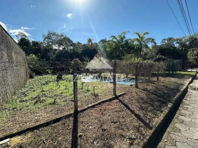 Terreno / Lote para Venda em Blumenau/SC Fidélis