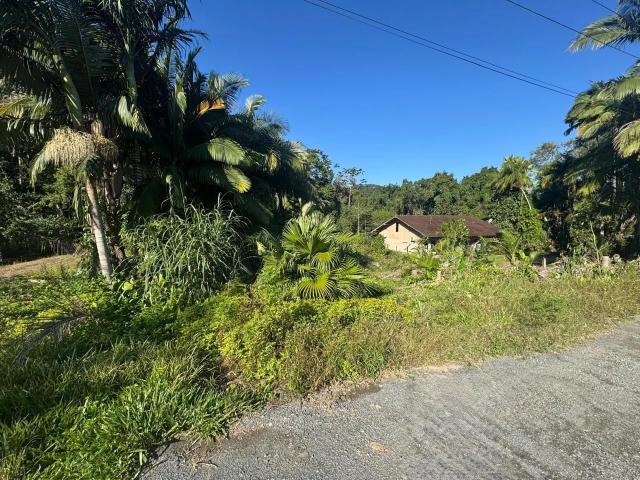 Terreno / Lote para Venda em Blumenau/SC Fidélis