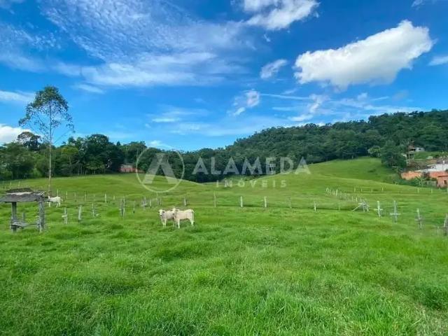 Terreno / Lote para Venda em Blumenau/SC Fidélis