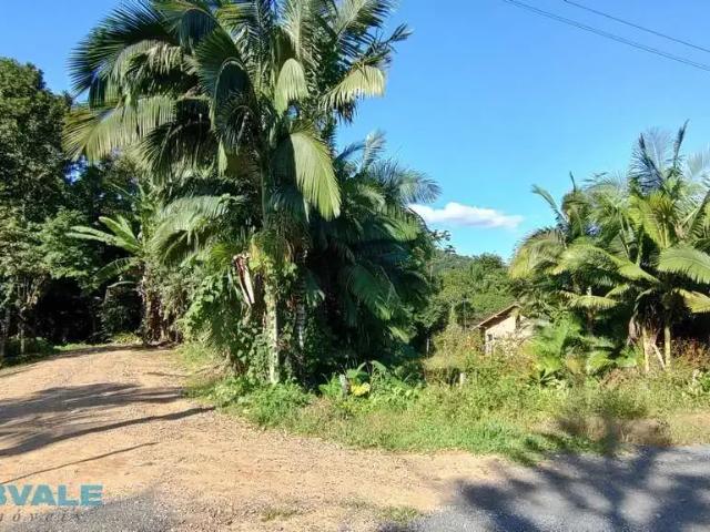 Terreno / Lote para Venda em Blumenau/SC Fidélis