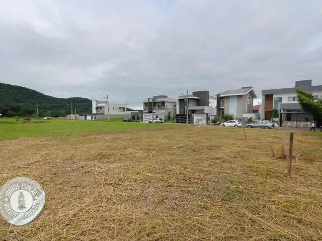 Terreno / Lote para Venda em Blumenau/SC Fidélis