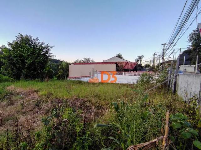 Terreno / Lote para Venda em Blumenau/SC Fidélis
