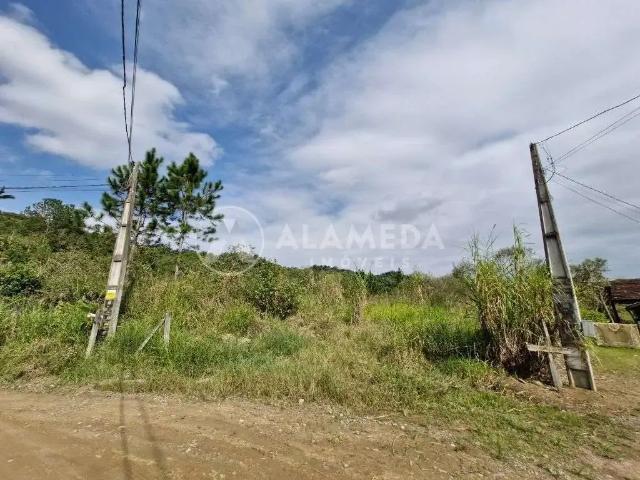 Terreno / Lote para Venda em Blumenau/SC Fidélis