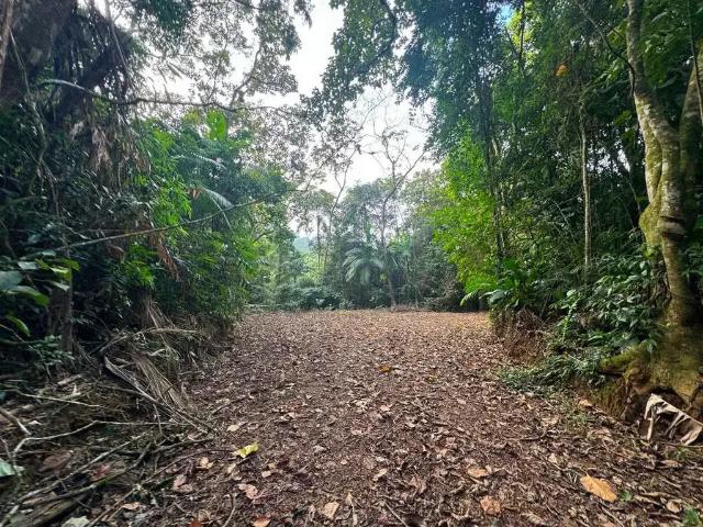 Terreno / Lote para Venda em Blumenau/SC Fortaleza