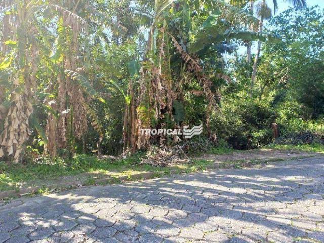Terreno / Lote para Venda em Blumenau/SC Fortaleza