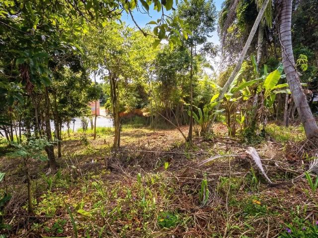 Terreno / Lote para Venda em Blumenau/SC Fortaleza