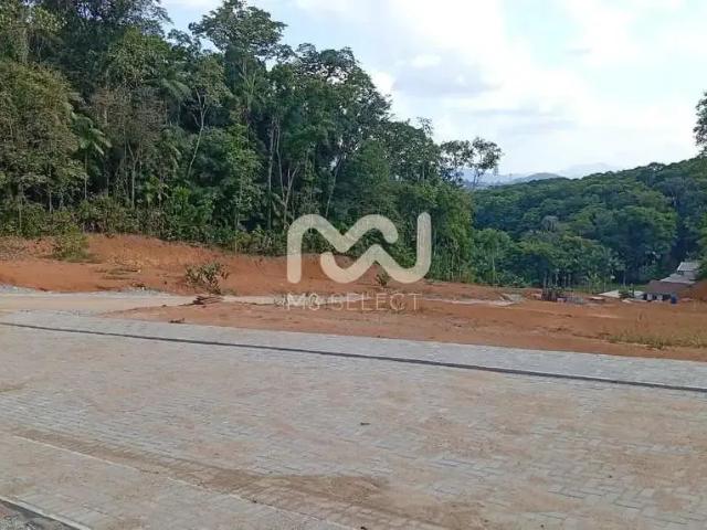 Terreno / Lote para Venda em Blumenau/SC Fortaleza
