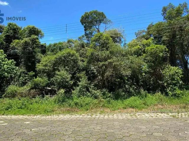 Terreno / Lote para Venda em Blumenau/SC Garcia