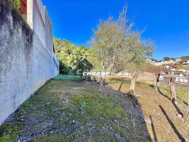 Terreno / Lote para Venda em Blumenau/SC Garcia
