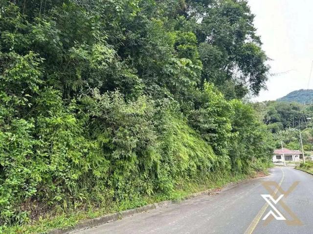 Terreno / Lote para Venda em Blumenau/SC Garcia