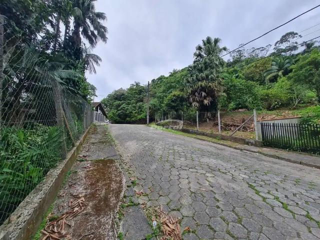 Terreno / Lote para Venda em Blumenau/SC Garcia