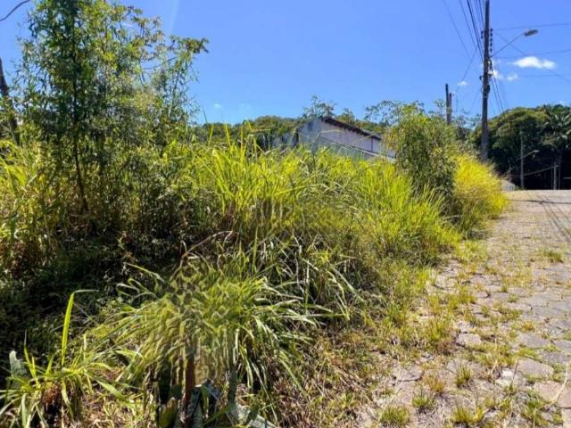 Terreno / Lote para Venda em Blumenau/SC Garcia