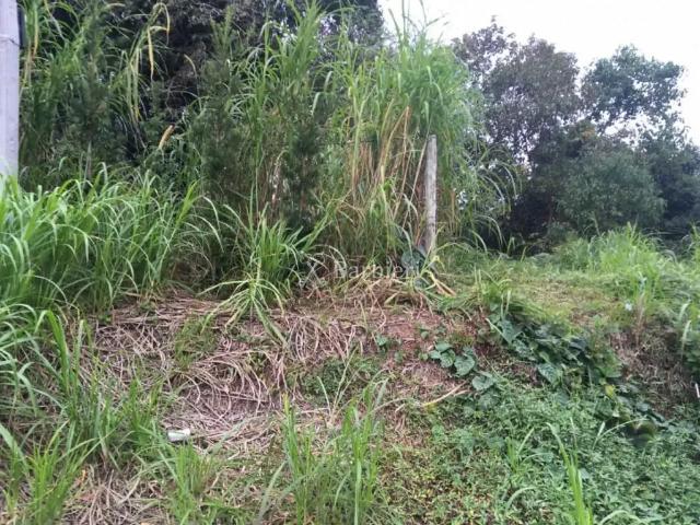 Terreno / Lote para Venda em Blumenau/SC Garcia