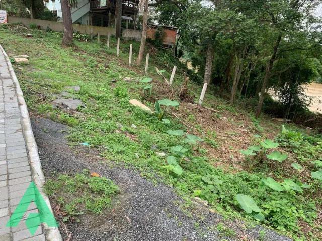 Terreno / Lote para Venda em Blumenau/SC Itoupava Norte