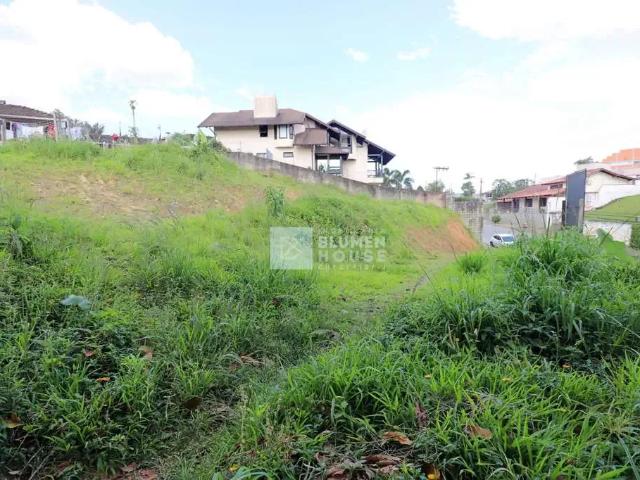 Terreno / Lote para Venda em Blumenau/SC Itoupava Norte