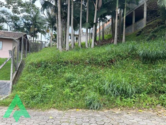 Terreno / Lote para Venda em Blumenau/SC Itoupava Norte