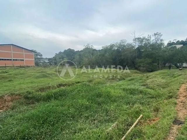 Terreno / Lote para Venda em Blumenau/SC Itoupava Central