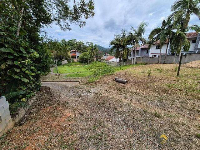 Terreno / Lote para Venda em Blumenau/SC Itoupava Central