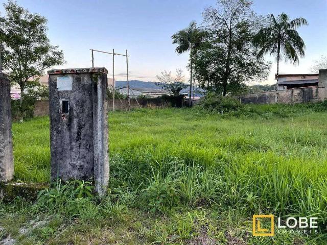 Terreno / Lote para Venda em Blumenau/SC Itoupava Central