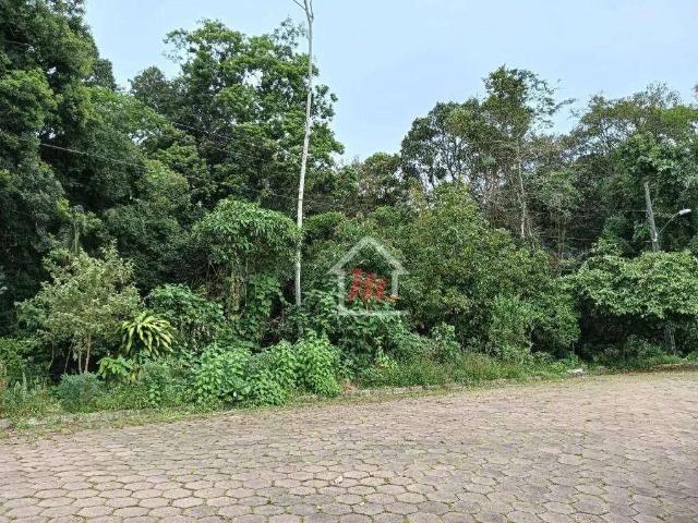 Terreno / Lote para Venda em Blumenau/SC Itoupava Central