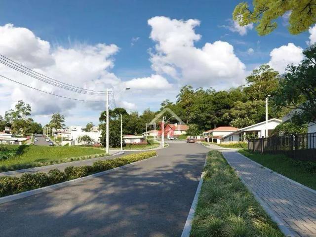Terreno / Lote para Venda em Blumenau/SC Itoupava Central