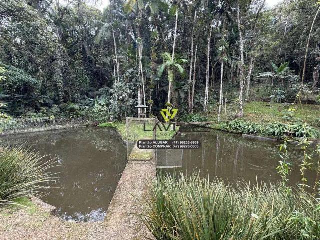 Terreno / Lote para Venda em Blumenau/SC Itoupava Central