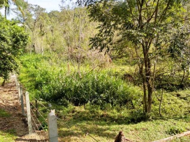 Terreno / Lote para Venda em Blumenau/SC Itoupava Central