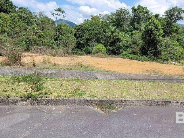 Terreno / Lote para Venda em Blumenau/SC Itoupava Central