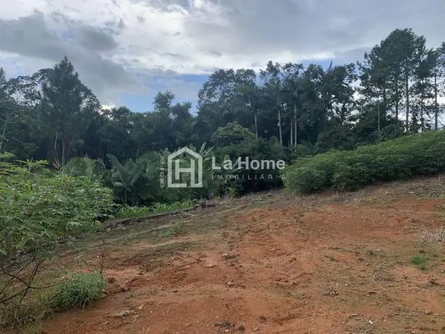 Terreno / Lote para Venda em Blumenau/SC Itoupava Central