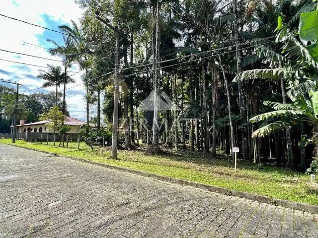 Terreno / Lote para Venda em Blumenau/SC Itoupava Seca