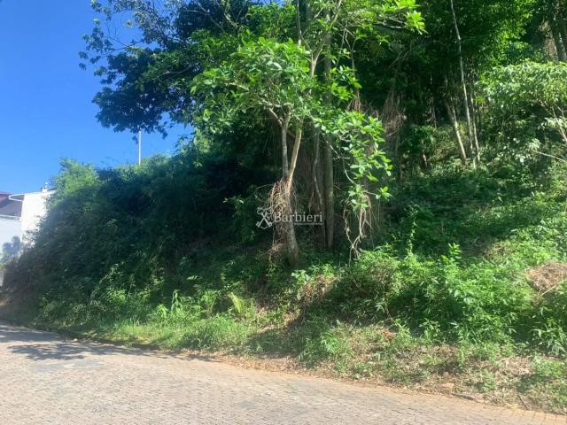 Terreno / Lote para Venda em Blumenau/SC Itoupava Seca
