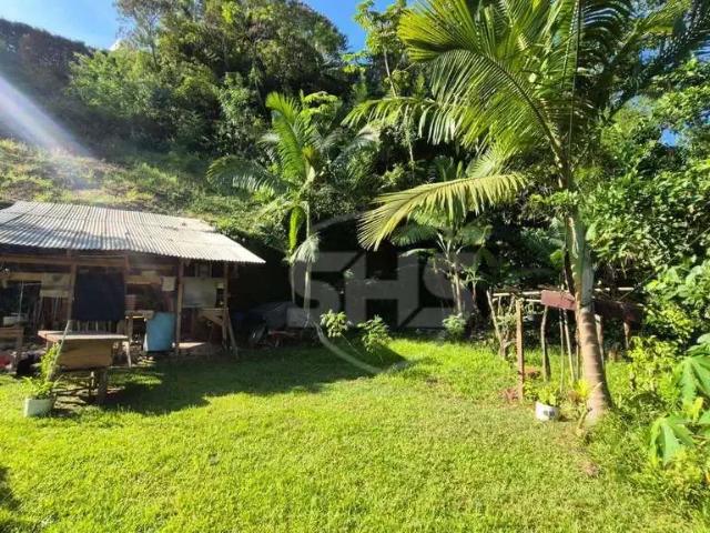 Terreno / Lote para Venda em Blumenau/SC Jardim Blumenau