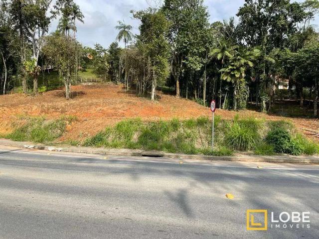 Terreno / Lote para Venda em Blumenau/SC Passo Manso