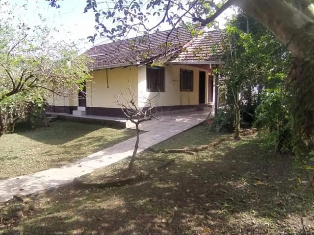 Terreno / Lote para Venda em Blumenau/SC Passo Manso