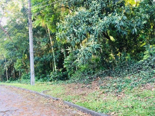 Terreno / Lote para Venda em Blumenau/SC Passo Manso