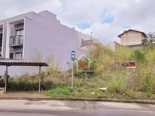 Terreno / Lote para Venda em Blumenau/SC Passo Manso