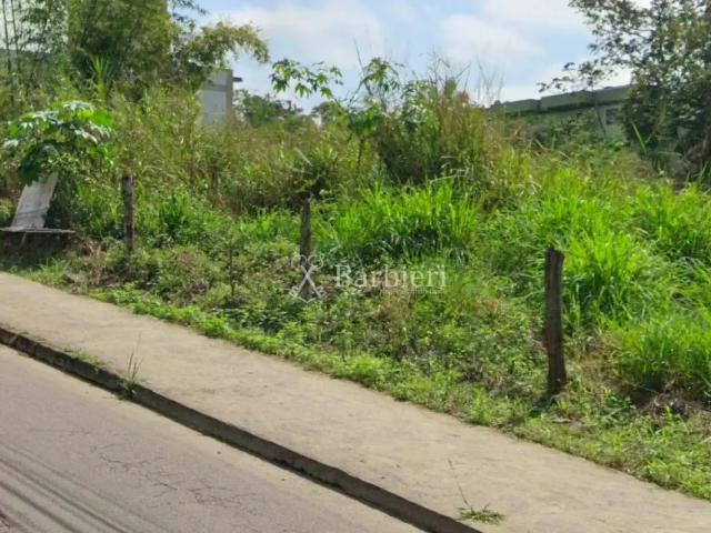 Terreno / Lote para Venda em Blumenau/SC Passo Manso