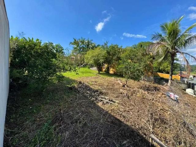 Terreno / Lote para Venda em Blumenau/SC Passo Manso