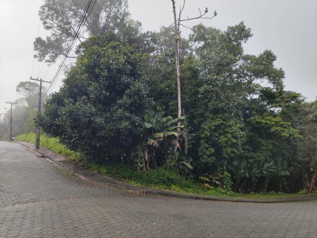 Terreno / Lote para Venda em Blumenau/SC Ponta Aguda