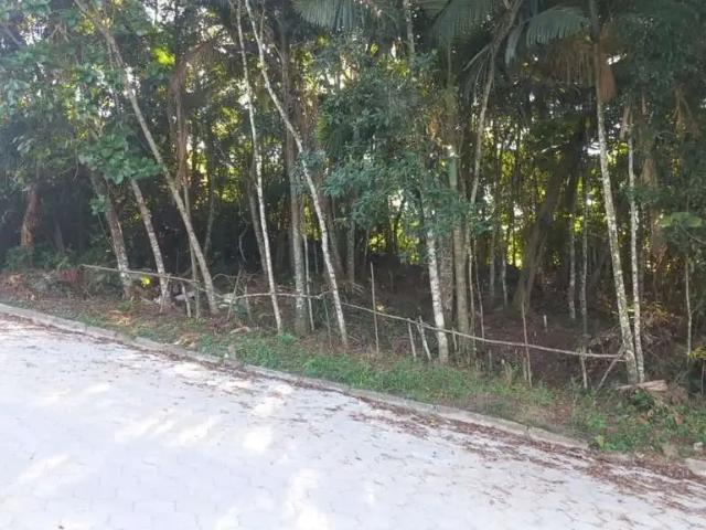Terreno / Lote para Venda em Blumenau/SC Ponta Aguda