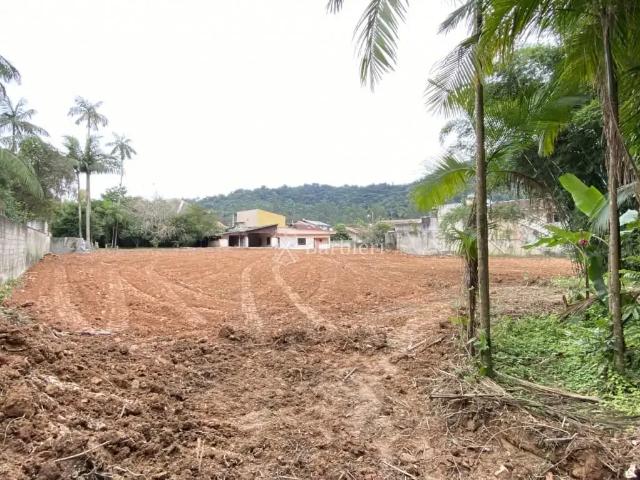 Terreno / Lote para Venda em Blumenau/SC Progresso