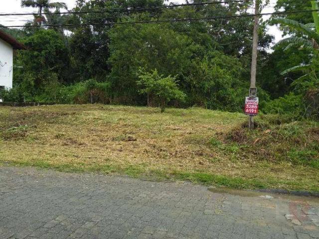 Terreno / Lote para Venda em Blumenau/SC Ribeirão Fresco