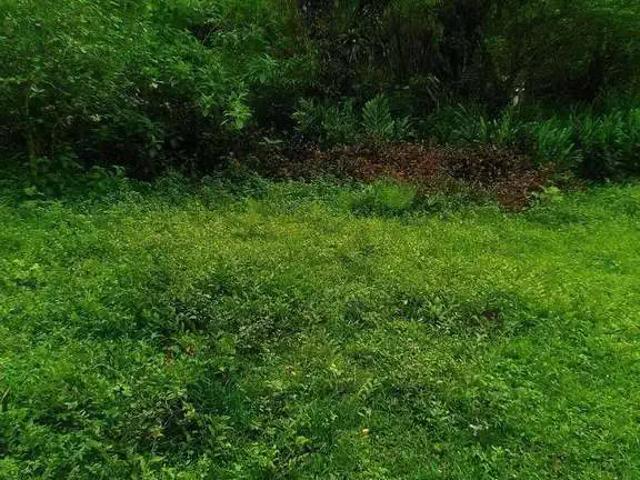 Terreno / Lote para Venda em Blumenau/SC Ribeirão Fresco