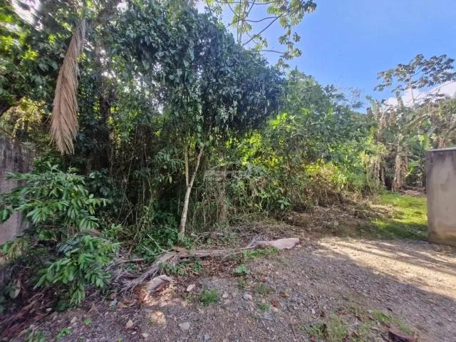 Terreno / Lote para Venda em Blumenau/SC Ribeirão Fresco