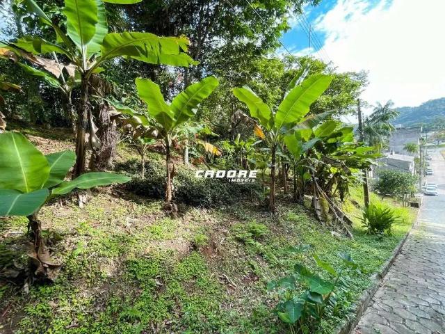 Terreno / Lote para Venda em Blumenau/SC Salto do Norte