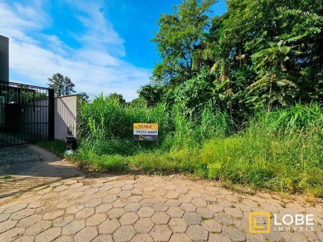 Terreno / Lote para Venda em Blumenau/SC Salto Weissbach