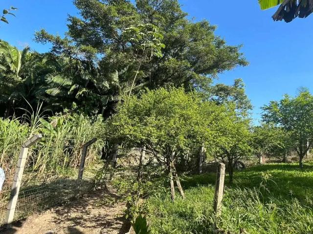 Terreno / Lote para Venda em Blumenau/SC Salto Weissbach
