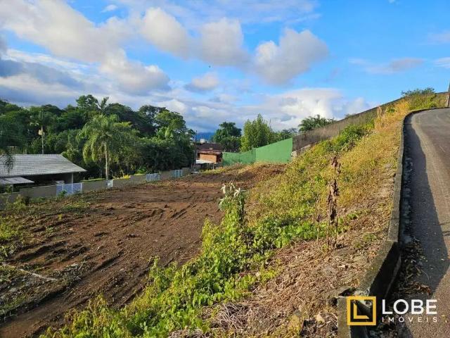 Terreno / Lote para Venda em Blumenau/SC Salto