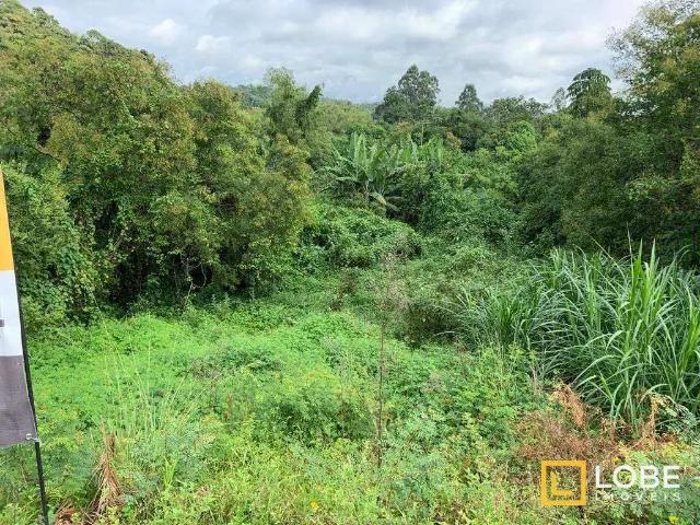 Terreno / Lote para Venda em Blumenau/SC Salto