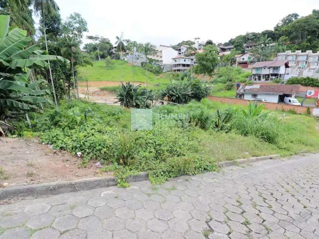 Terreno / Lote para Venda em Blumenau/SC Tribess